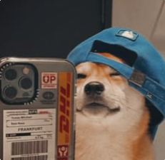 files/pinteres_3.png